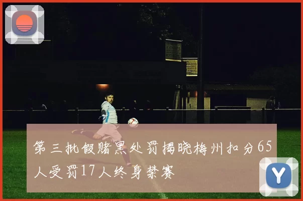 第三批假赌黑处罚揭晓梅州扣分65人受罚17人终身禁赛
