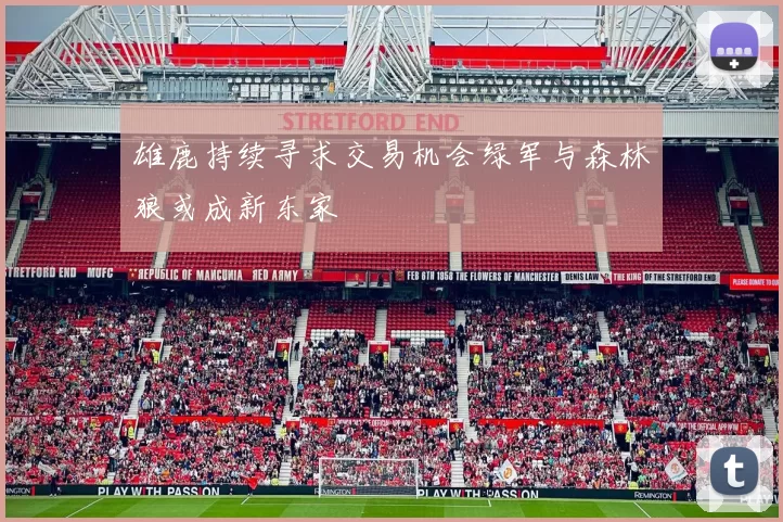 雄鹿持续寻求交易机会绿军与森林狼或成新东家